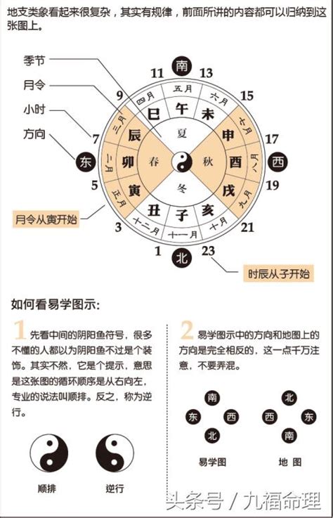 好運得時鐘|八字命理基礎快速入門(一)陰陽五行、天干地支、生剋制化、刑沖。